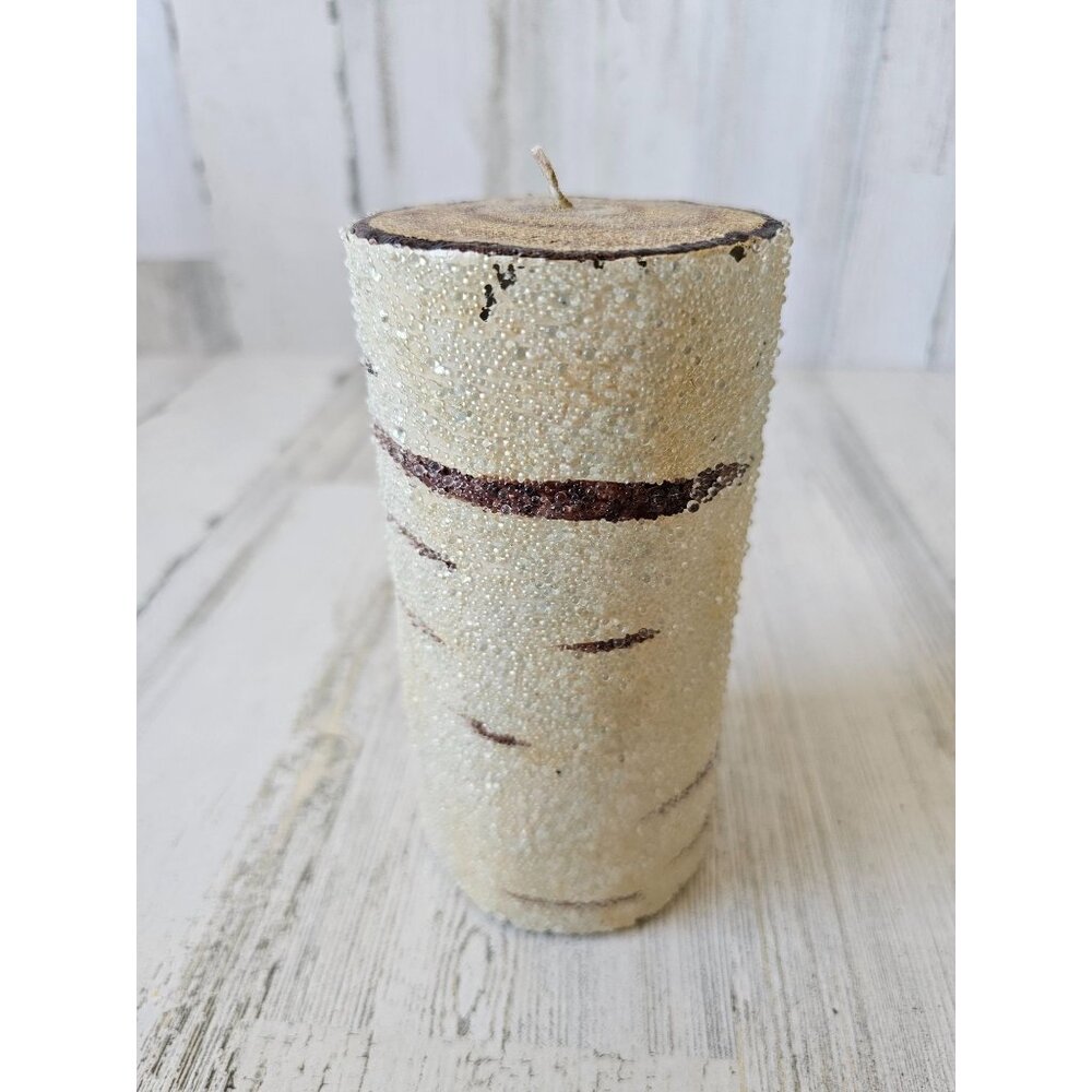 Pottery Barn candle birch‎ glass sugared tree decor
